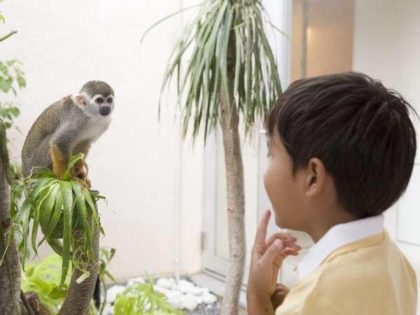 施設内いたるところにさまざまな動物たちがみなさまをお待ちしております。