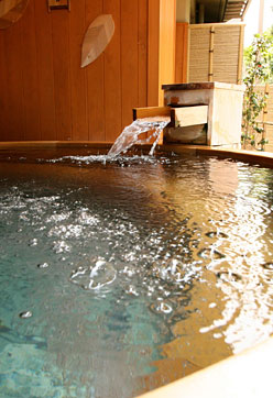 写真：お料理イメージ