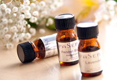 写真：シェリーズ バー　イメージ