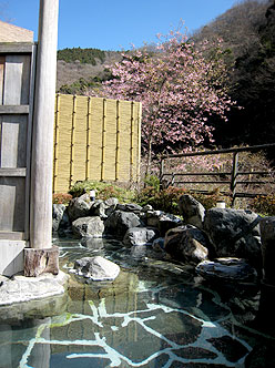 写真：露天風呂