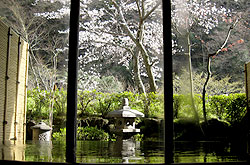 写真：お風呂イメージ