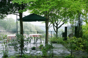 欧風宿ぶどうの樹