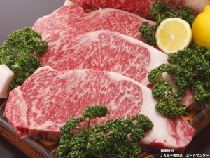 【個室食確約】お日にち限定38500円~お部屋タイプおまかせ 料理アップグレード「高千穂牛」ステーキ