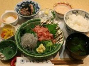≪公式HP限定★割引価格≫駿河湾で揚がった生桜えび生しらすを存分に愉しむ!【2食付】<Wi-Fi全室完備>