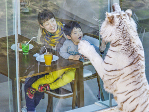 伊豆アニマルキングダム◇入園券付プラン ホワイトタイガーに会える!特典付入園券+宿泊でお得