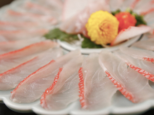 限定先着5室◇金目鯛と地魚の薄造りコース 夕食:ダイニング/朝食:ダイニング