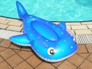 【夏休みファミリー応援】お子様歓迎!水遊びグッズに花火の特典♪海水浴と温泉!/咲会席