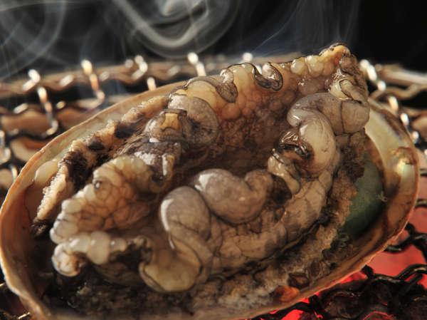 【旨味】伊豆の三大味覚とアワビ踊焼きを贅沢に堪能!