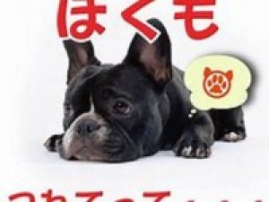 【1日3室限定★わんちゃん部屋】<特典付>わんちゃん1匹無料(小型犬4.5kg迄)で大切な家族応援!