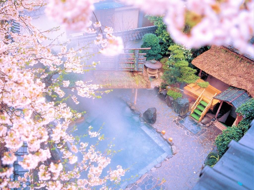 湯村温泉 朝野家