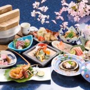 【土佐旅グルメ】1日3組限定!土佐美食紀行 ~大納言~《部屋食確約》