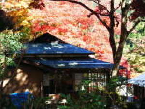 奥多摩　松乃温泉　水香園