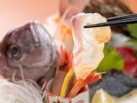 《松コース・竹亭基本プラン》四季替り宝石箱会席◇のんびりお部屋食（４名様までOK！）