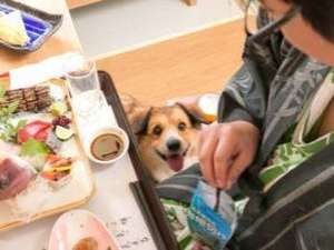 【離れの館わんこ家竹亭】可愛いわんちゃんとずっと一緒♪夕食はお部屋で最高ランクの「宝石箱会席」
