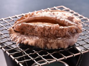 源泉かけ流しの小さなお宿　あゆの風