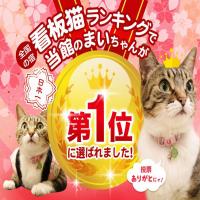 【ねこ女将からのプレゼント】ニャンキュー割(2,900円)のSPニャンキュープラン