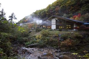 黄金色の出湯　横谷温泉旅館