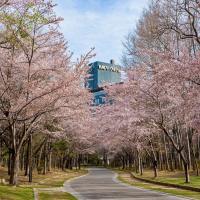 札幌パークホテル