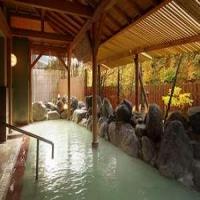 名湯の宿 パークホテル 雅亭