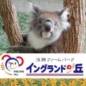 イングランドの丘チケット付★淡路島の遊び満喫プラン