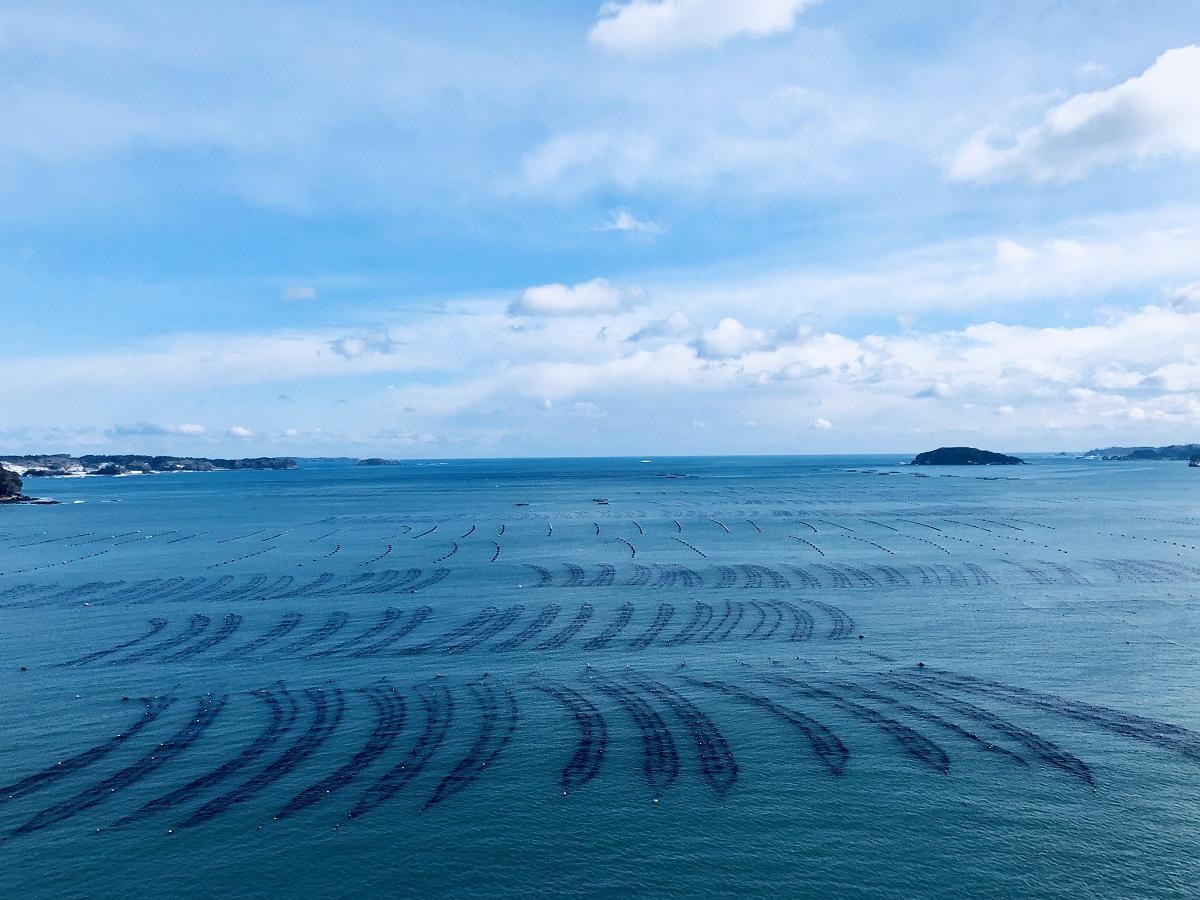 【 絶景プラン 】志津川湾の眺望を存分に楽しめるお部屋はゆとりのスイートタイプ! ◇12時チェックアウト◇