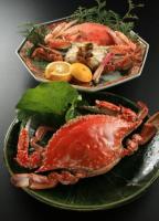 たら竹崎温泉　海上館