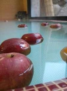 美ヶ原温泉　金宇館(かなうかん)