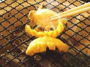 贅沢素材【鮑炭火焼付】会席で露天風呂付客室泊まる