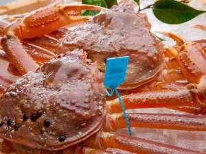 【冬の味覚】丸ごと茹でたブランド蟹「加能蟹」一杯を堪能！「加能蟹1杯付会席」北陸地酒と共に