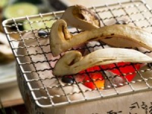 【9月・10月限定】食欲の秋!贅沢グルメ旅★夜は松茸3品×神戸牛しゃぶしゃぶ!朝はステーキで大満足♪