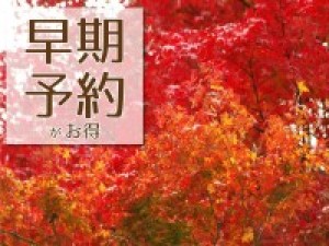 【早割56】御苑の牛肉をたっぷりと楽しむ!神戸牛しゃぶしゃぶ×黒毛和牛ステーキ付◆美味饗宴プラン