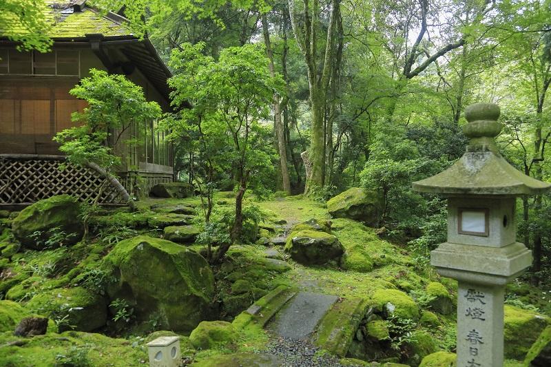 奈良・春日奥山　月日亭