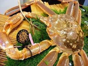 【冬】【柴山ゴールドタグ】1.4kg以上の幻の蟹をひとり1杯
