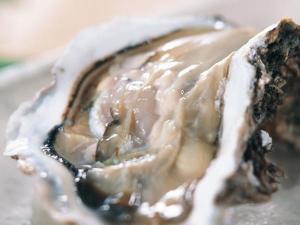 <夏懐石>【海】岩牡蠣と白烏賊&鮑
