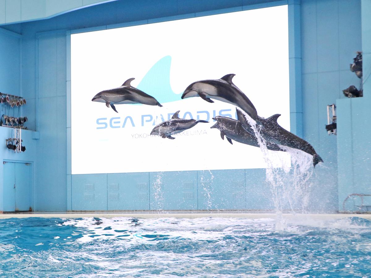 ニューオータニイン横浜プレミアム
