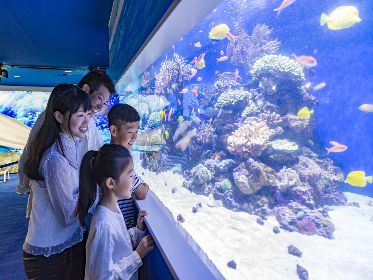 冬の横浜・八景島シーパラダイス(水族館4施設&アトラクション)&朝食付き