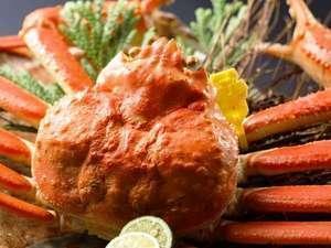 【「食事処」又「別会場」】「刺し&甲羅味噌焼」OR「姿茹」♪越前蟹付き会席(ブランド蟹を食す)