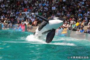 味覚と眺望の宿 ホテル南海荘