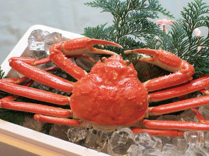 ≪冬の味覚≫温泉とカニで冬を満喫◎旬を堪能するプラン