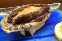 【鮑踊り焼+舟盛付】で人気上昇 海の恵みに!満腹、満足、満喫!
