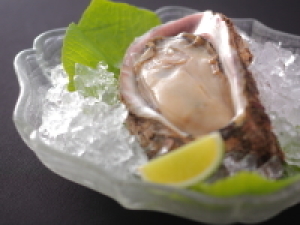 【夏の味覚】海のミネラルたっぷり!濃厚な味わい 富山湾 天然岩牡蠣