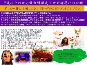全館どこでも愛犬と一緒!愛犬満足度オンリーワン【酸素カプセル】シニアドッグアンチエイジングプレミアム鯛姿、伊勢海老、鮑(7歳以上対象)