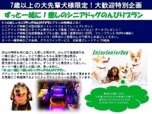 全館どこでも愛犬と一緒!愛犬満足度オンリーワン【酸素カプセル】シニアドッグアンチエイジング癒しの充実プラン(7歳以上対象)