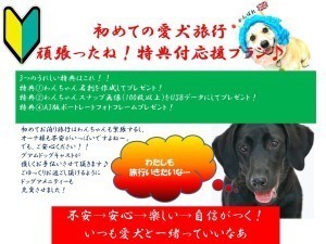 全館どこでも愛犬と一緒!愛犬満足度オンリーワン【愛犬記念日プラン】応援!初めてお泊り愛犬旅行コンシェルジュ&貸切にごり湯