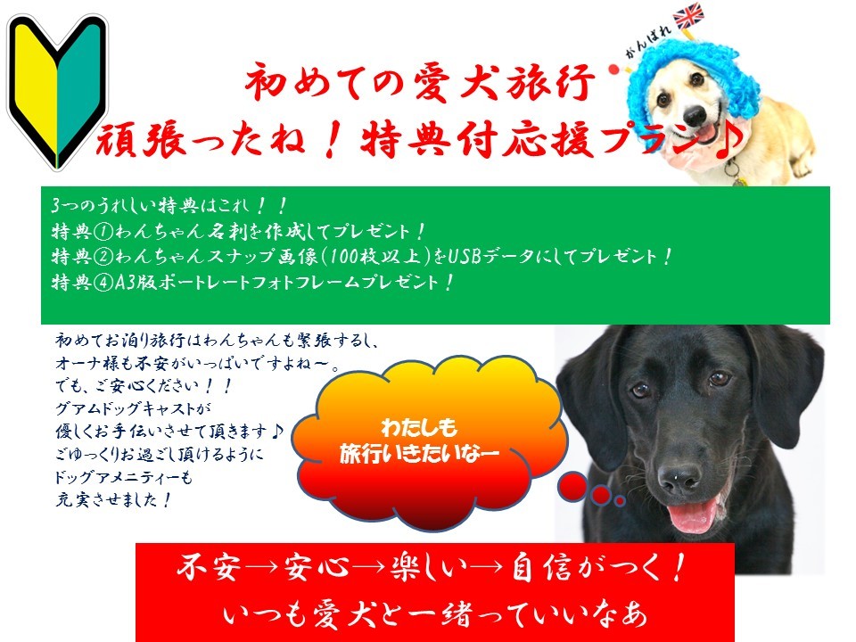 【58】【エグゼクティブルーム限定】【愛犬と一緒!】ご安心ください!初めてお泊り愛犬旅行満喫プラン