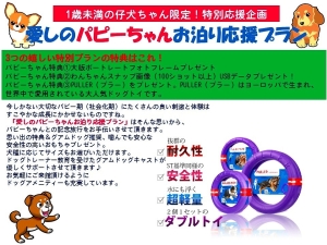 全館どこでも愛犬と一緒!愛犬満足度オンリーワン【今しかない仔犬記念日】愛しのパピーちゃんお泊り応援プラン(1歳未満仔犬限定)