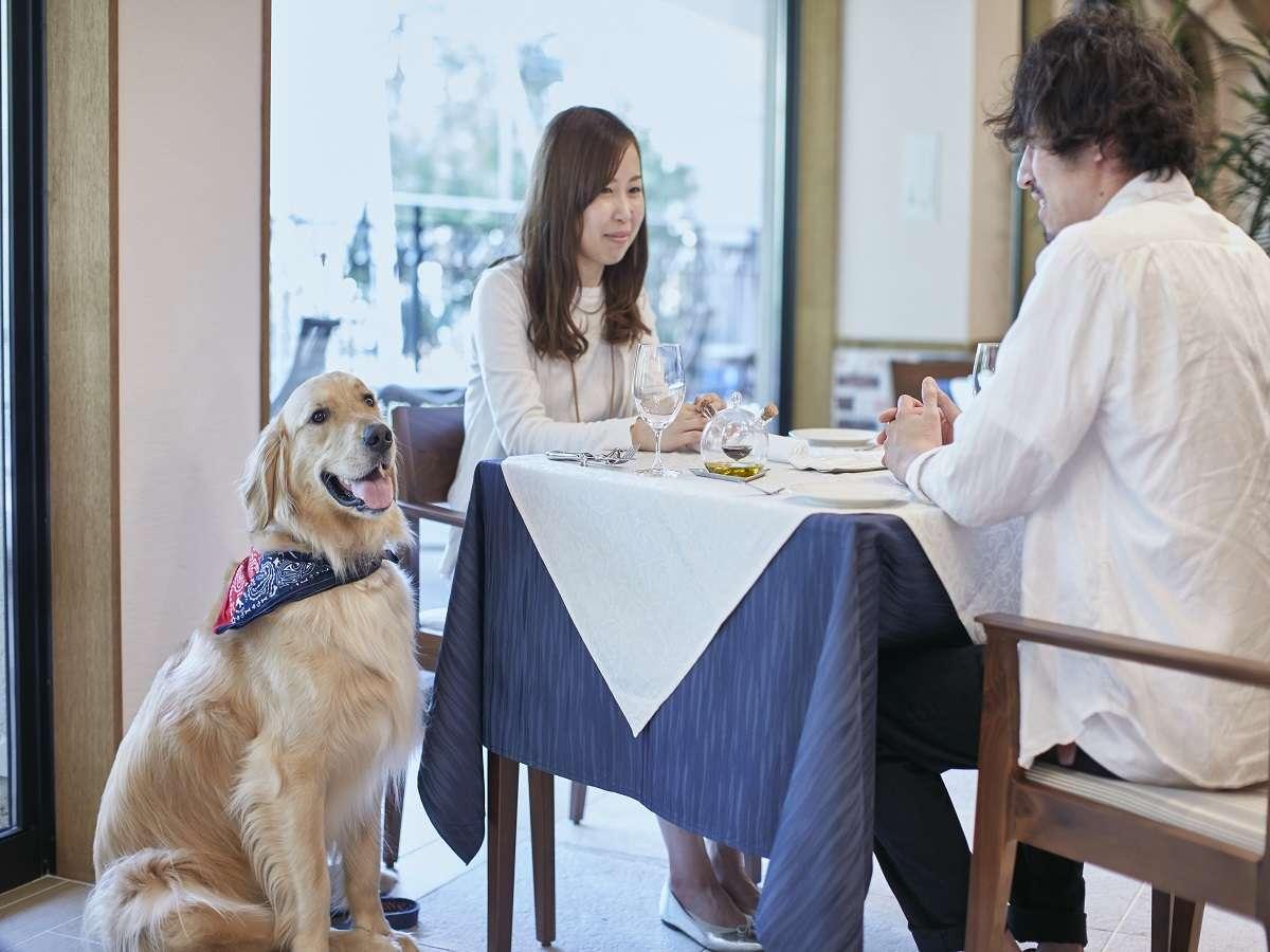 ★ペット同伴ルーム★【直前割/2食付】直前のご予約で最大5%OFF～わんちゃん宿泊費無料～