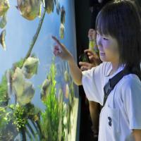 【鳥羽水族館入館券付プラン】約1200種30000点の生きものと出会える!(朝食バイキング)