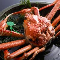 【冬】タグ付きの活松葉がに(800g)を1.5杯使用!冬の味覚の王様を堪能する活松葉がにフルコース!
