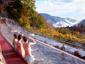 【早期割60】水着で楽しむ温泉■~ユネッサンと森の湯付~露天風呂付き客室や絶景露天風呂で温泉三昧の休日
